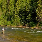 North Fork Clearwater   10