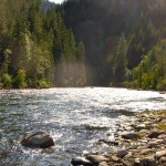 North Fork Clearwater   11