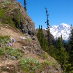 High Rock Lookout  39 - Version 2