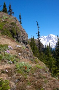 High Rock Lookout  39 - Version 2