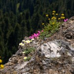 High Rock Lookout  57 - Version 2