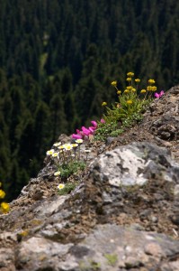 High Rock Lookout  57 - Version 2