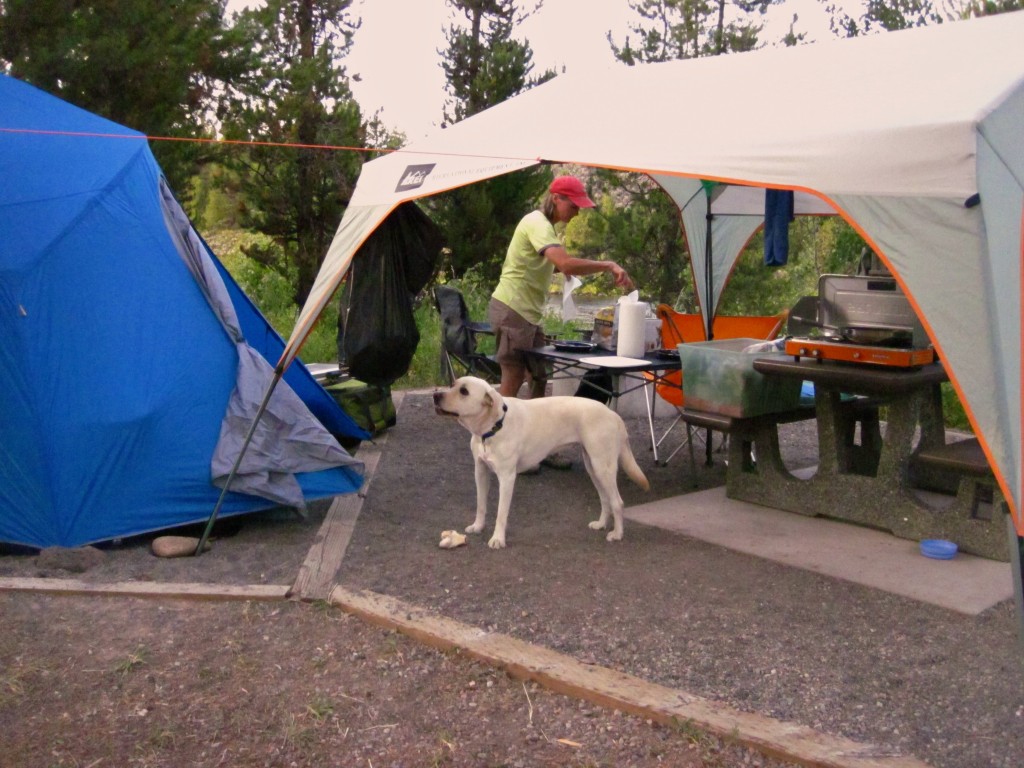 The REI Alcove Shelter in use during a sunny day near Henry's Fork ...