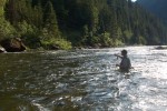 Clearwater Cutthroat