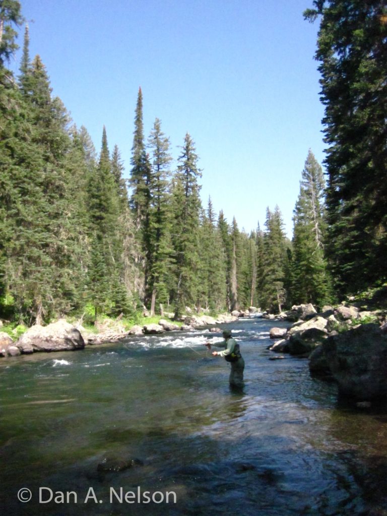 Roadtrip: Fish classic western rivers