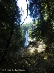 Hiking Guide: Skookum Falls