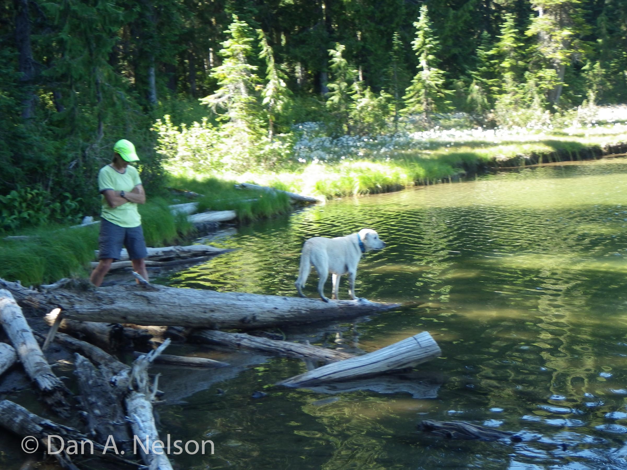 Hiking Guide: Annette Lakes