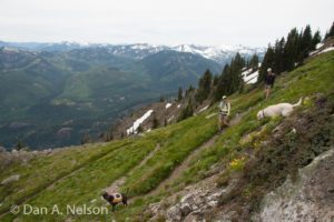 Hiking Guide: Thorp Mountain